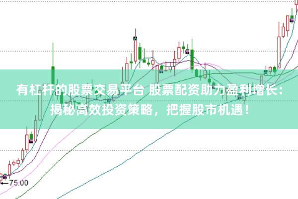 有杠杆的股票交易平台 股票配资助力盈利增长：揭秘高效投资策略，把握股市机遇！