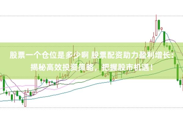 股票一个仓位是多少啊 股票配资助力盈利增长：揭秘高效投资策略，把握股市机遇！