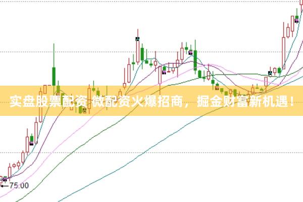 实盘股票配资 微配资火爆招商，掘金财富新机遇！