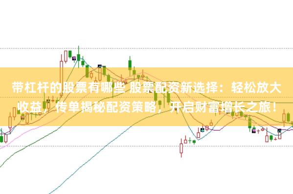 带杠杆的股票有哪些 股票配资新选择：轻松放大收益，传单揭秘配资策略，开启财富增长之旅！