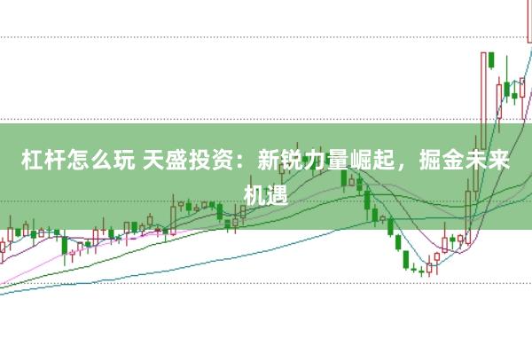 杠杆怎么玩 天盛投资：新锐力量崛起，掘金未来机遇
