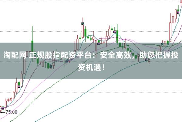 淘配网 正规股指配资平台：安全高效，助您把握投资机遇！