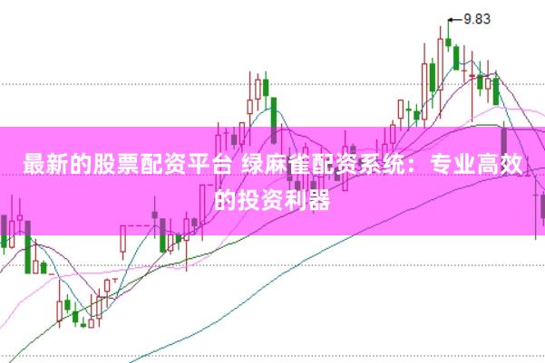 最新的股票配资平台 绿麻雀配资系统：专业高效的投资利器