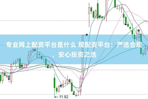 专业网上配资平台是什么 规配资平台：严选合规，安心投资之选