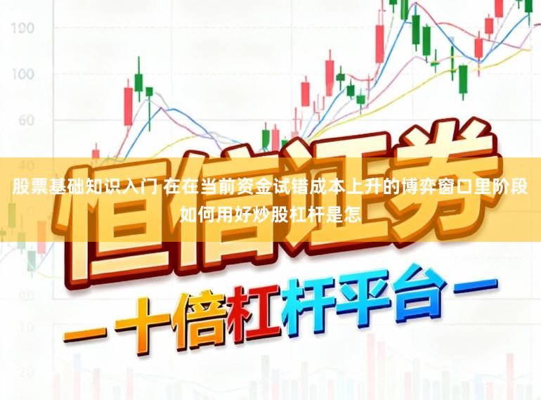 股票基础知识入门 在在当前资金试错成本上升的博弈窗口里阶段如何用好炒股杠杆是怎